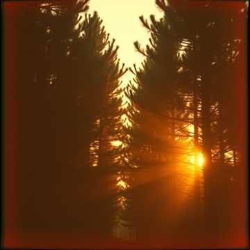 The Last Light on the Ridge