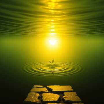 Music Cover
