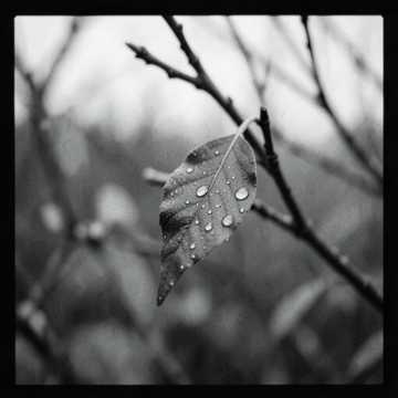 Music Cover