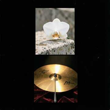 Music Cover