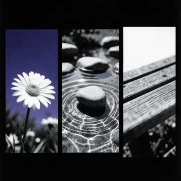 Music Cover