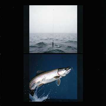 Music Cover